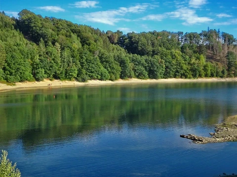 Im Wasser eines Sees spiegelt sich der Uferwald