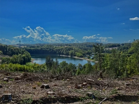Eingebettet zwischen Wäldern liegt ein großer, blauer See