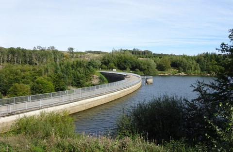 Zwischen grünen Wäldern staut sich das Wasser an der deutlich gebogenen Staumauer