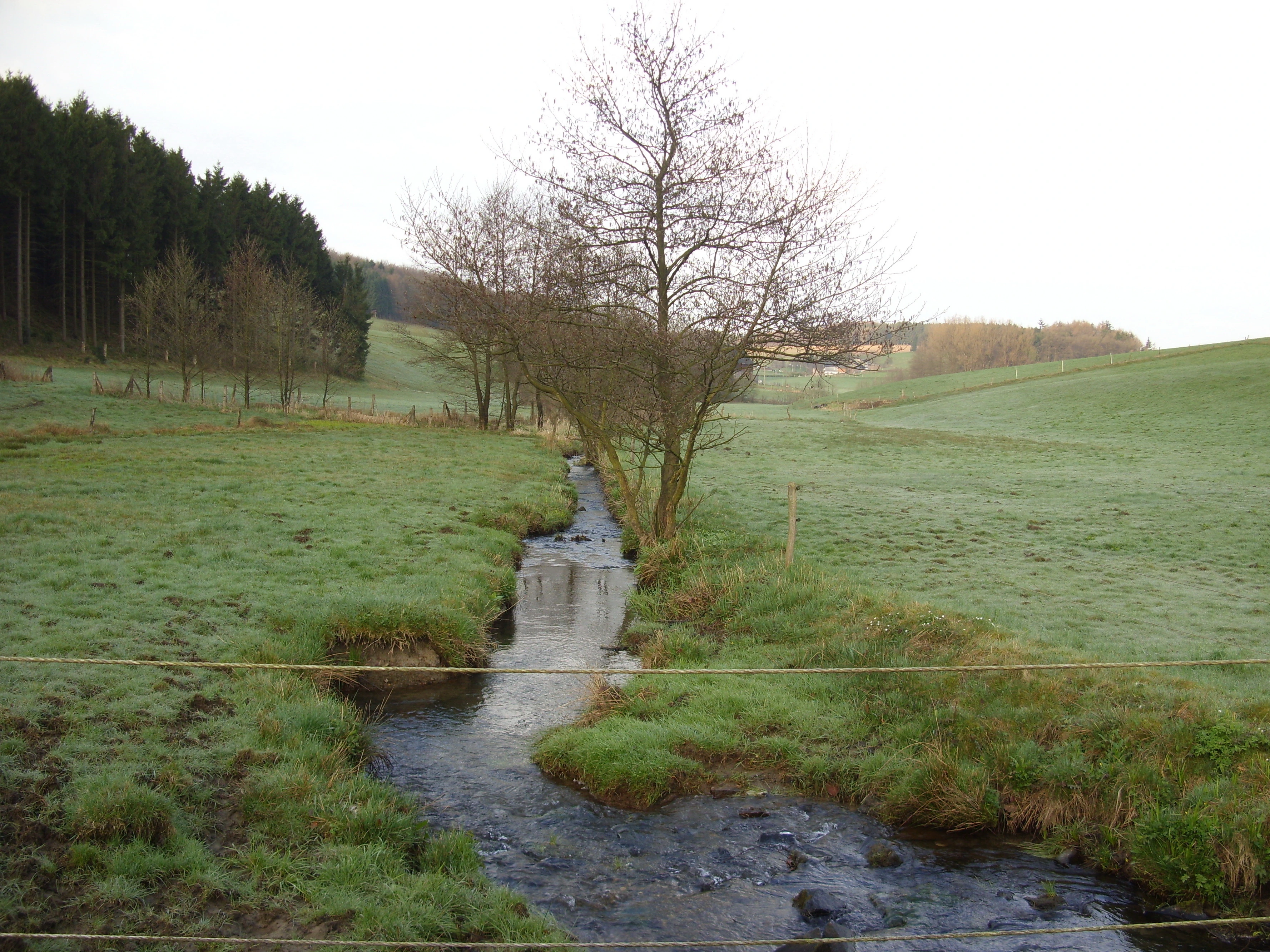 Dieser unscheinbare Bach gibt der Talsperre ihren Namen