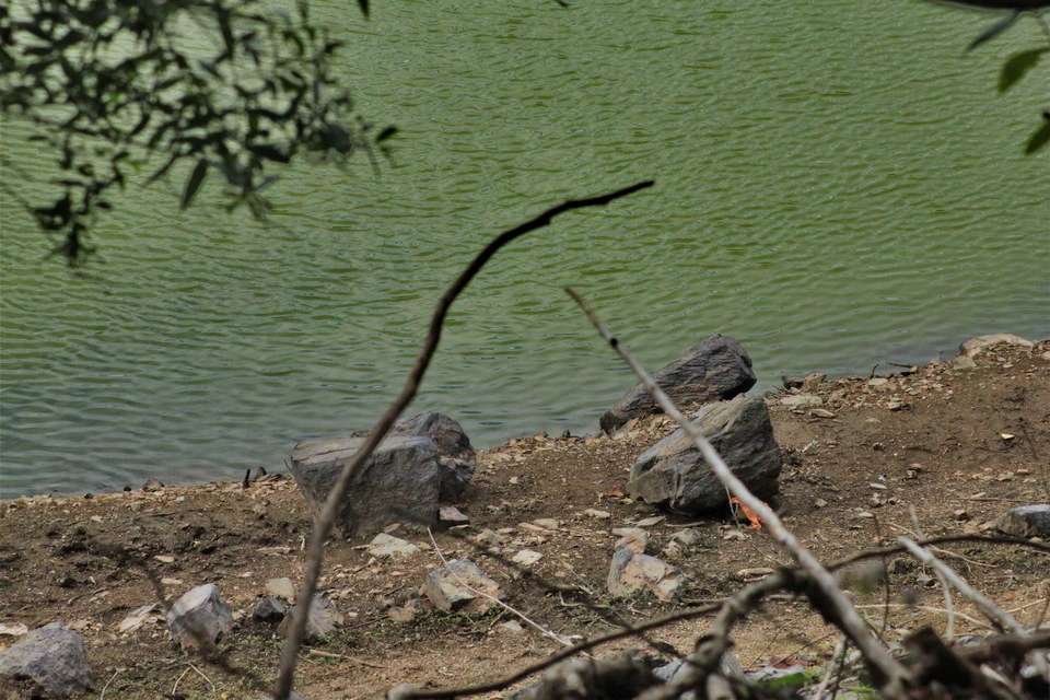 Große Felsen liegen am Ufer verstreut