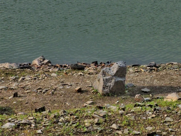 Felsen wie dieser liegen normal mehrere Meter unter Wasser, aktuell jedoch nur noch Zentimeter.