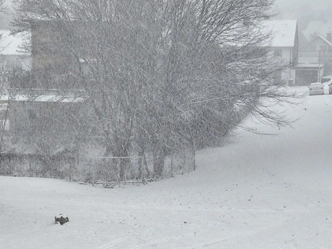 Auf den Wiesen einer Wohnsiedlung liegt eine dicke Schneedecke und es schneit weiter.