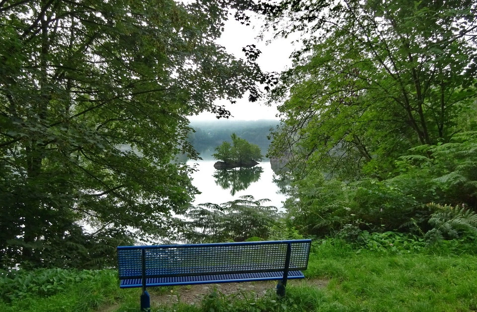 Kleine Insel in der Wuppertalsperre