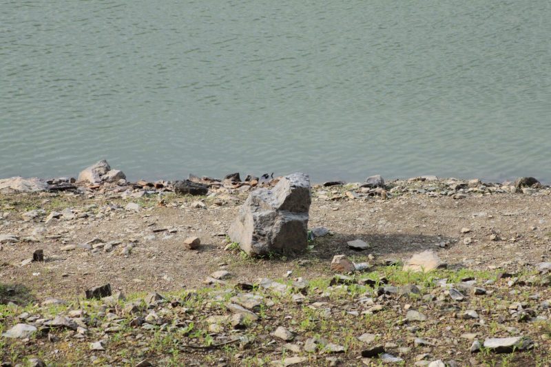 Bei niedrigem Wasserstand werden an der Wuppertalsperre große Felsen sichtbar, die bei höherem Wasserstand, am Ufer dicht unter Wasser große Gefahren bergen.