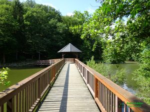 Unter grünen Bäumen und über grün schimmerndes Wasser führt die neue Holzbrücke über das Uelfebad