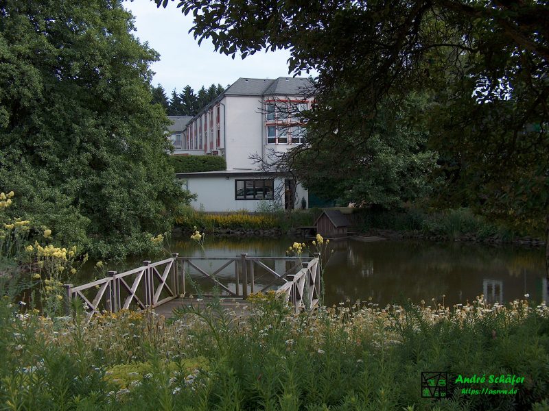 Vor einem Seniorenheim, zwischen großen, grünen Bäumen ein kleiner Teich mit einem hölzernen Steg