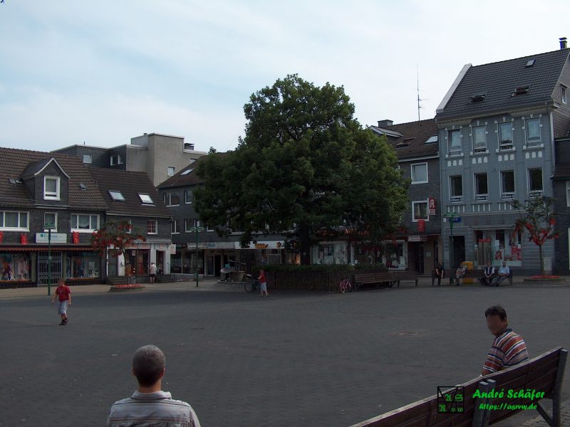 Ein Imposanter Eichenbaum steht auf dem Radevormwalder Marktplatz, genannt, die Gründereiche