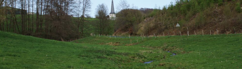 Ein Bach windet sich eine Wiese herab. Im Hintergrund, der spitze Turm der weißen, Remlingrader Kirche