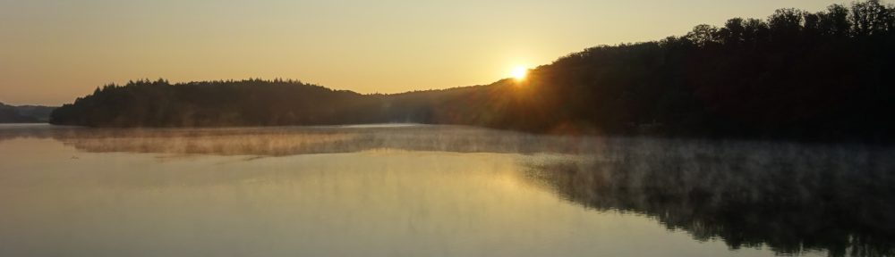 Morgenduenst steigt von der glatten Wasserfläche auf, während die Sonne gerade über die Baumkronen am Ufer steigt