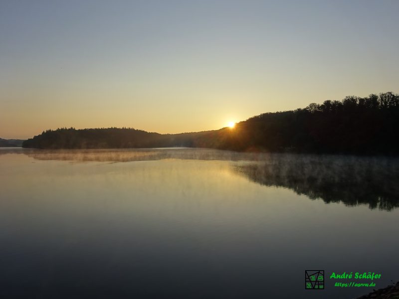 Morgenduenst steigt von der glatten Wasserfläche auf, während die Sonne gerade über die Baumkronen am Ufer steigt