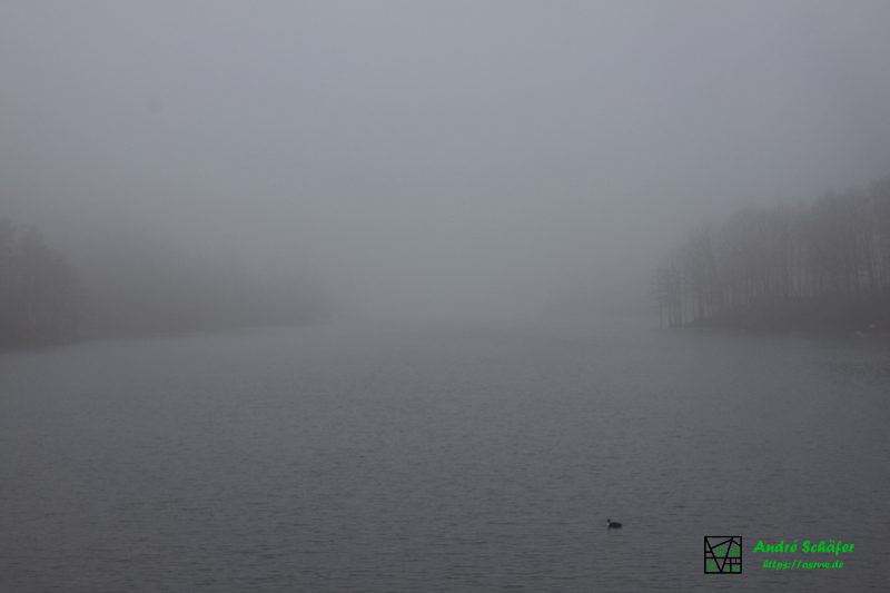 Wasserfläche und Ufer der Bever verschwimmen im Nebel. Im Vordergrund eine einsame Ente auf dem Wasser