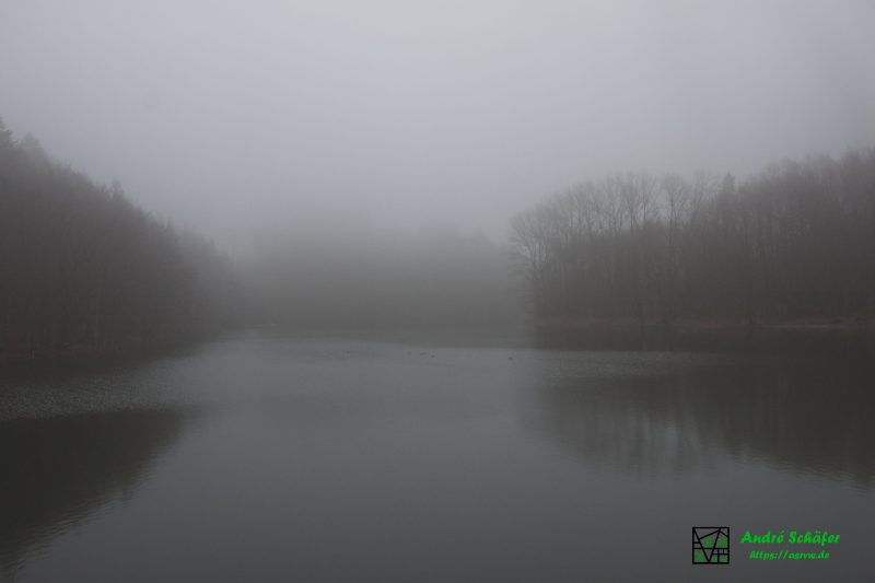 Über einem Seitenarm der Bevertalsperre klart der Nebel langsam auf und man erkennt mehr und mehr Bäume am Ufer
